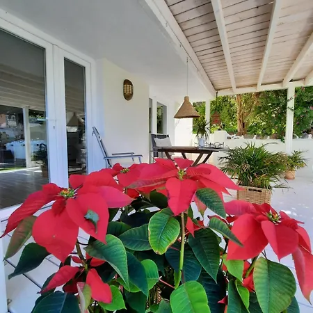 Oasis De Paz La Matanza De Acentejo